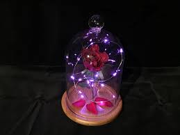 We did not find results for: Enchanted Rose Beauty And The Beast 6 Steps With Pictures Instructables