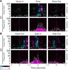 Måske værd at overveje en ekstra gang? Interactions Between Motor Thalamic Field Potentials And Single Unit Spiking Predict Behavior In Rats Biorxiv
