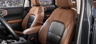 Image result for Arizona Beige 2024 Ford