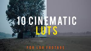 Download the luts for free today. 10 Cinematic Luts Free Download Youtube