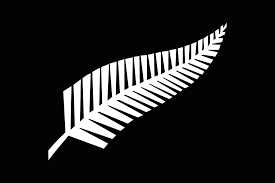 Fern Garden Wellington Botanic Gardens Wellington New Zealand Travel To Eat New Zealand Tattoo Silver Fern All Blacks Logo