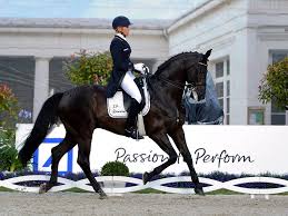 Legendärer hulapalu ritt ingrid klimke amp franziskus clipmyhorse tv. Olympiateam Deutschland Ingrid Klimke Foto Bild Sport Sport Mit Tieren Pferdesport Bilder Auf Fotocommunity