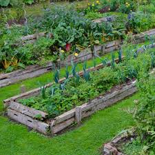 Growing your own vegetables from scratch can be rewarding, but sometimes you just don't have the time. Growing Vegetables As Companion Plants In The Vegetable Patch