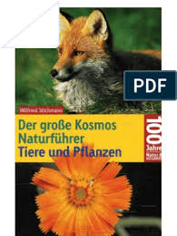 15cm grosse mänchen zum ausdrucken. Wilfried Stichmann Der Grosse Kosmos Naturfuhrer Tiere Und Pflanzen