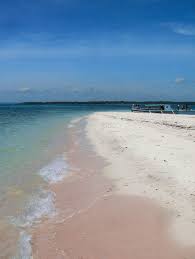 Did you know that the philippines, with over 7000 islands, is also home to some spectacular sandbars? Panacalan Sandbar Aka Maldives Tondol White Sand Beach Facebook