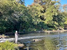 Pacific Northwest Steelheaders