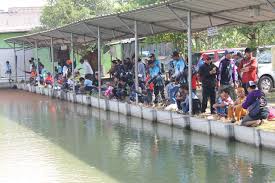 Kolam Pancing Harian Dan Kiloan Sukamancing Brotherhood