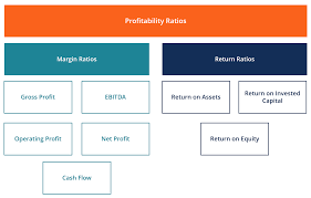 profitability ratios calculate margin profits return on