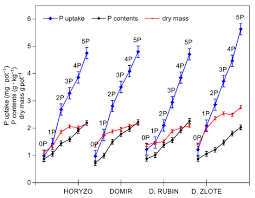 Image result for Adenodolichos rhomboideus