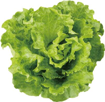 vegetables bp, lettuce - png gratis - PicMix