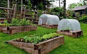 Pin On Garten