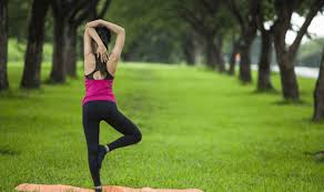 Now, if you've never tried a yoga class or even any yoga poses, you have never experienced the benefits of yoga for yourself. Top Essays About Yoga For Students