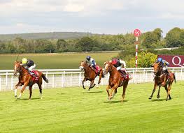 Bjorn Nielsen Archives - TDN | Thoroughbred Daily News | Horse Racing News,  Results and Video | Thoroughbred Breeding and Auctions