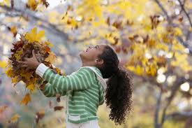 Displaying 22 questions associated with risk. Things You Never Knew About Fall Facts About Autumn