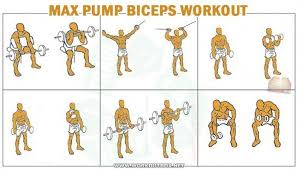 Biceps Workout Routine To Pump And Shape Your Biceps Get