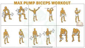 biceps workout routine to pump and shape your biceps get