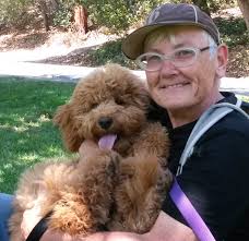 Our Team — Oakland Pet Care