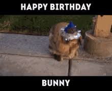 Happy Birthday Bunny Gif Happy Birthday Bunny Rabbit Discover Share Gifs