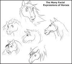 Notice the detailing framing the mouth. How To Draw Horse Heads Step By Step Drawing Guide By Dawn Dragoart Com