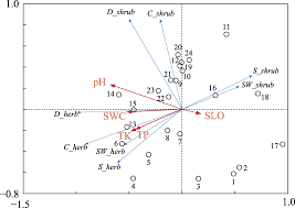 Image result for Microstegium fasciculatum