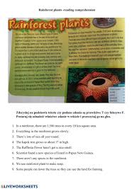The population of papua new guinea are mostly the indigenous peoples of the island. Rainforest Plants Worksheet