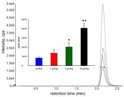 Frontiers Increasing N Acetylaspartate In The Brain During Postnatal Myelination Does Not Cause The Cns Pathologies Of Canavan Disease Molecular Neuroscience