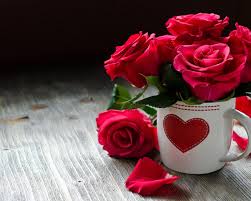 Blue roses wallpaper flower phone wallpaper butterfly wallpaper beautiful flowers wallpapers beautiful rose flowers beautiful nature wallpaper beautiful love pictures beautiful gif purple roses. Rose Wallpaper Love Beautiful Flowers