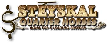 Steskal Quarter Horses -Tiger Leo