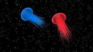 Select and download your desired screen size from its original uhd 4k 3840x2160 px resolution to different high definition resolution or hd 4k. 1080x2340px Free Download Hd Wallpaper Jellyfish Space Wallpaper Flare