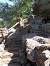 Mineral Wells Fossil Park