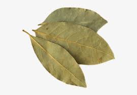 Bay Leaf Uses Of Peepal Leaves 662x529 Png Download Pngkit