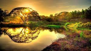 57 Twitter Nature Desktop Wallpaper Tree Landscape Wallpaper Hd Nature Wallpapers