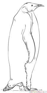How To Draw An Emperor Penguin Step By Step Drawing Tutorials For Kids And Beginners Penguin Drawing Penguin Art Emperor Penguin