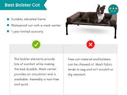 We did not find results for: 10 Best Chew Proof Indestructible Dog Beds For 2021 Pawleaks