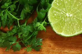 Cilantro Lime Vinaigrette Rebecca Katz Cilantro Lime Vinaigrette Lime Vinaigrette Cilantro Lime
