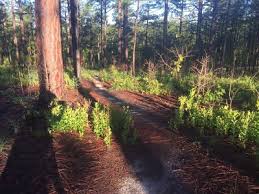 16 reviews, 0 photos, & 1 tips from fellow rvers. Smith Lake Mountain Bike Trail Mountain Bike Trail Fort Bragg North Carolina