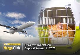 Flying With An Emotional Support Animal In 2020 Mango Clinic