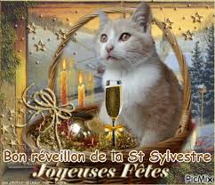 Tu as changé l'image ! Chat Reveillon De La St Sylvestre Picmix