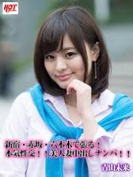 JAV】新宿・赤坂・六本木で張る！本気性交！！美人妻中出しナンパ！！ 青山未来 eBook by ホットエンターテインメント - EPUB |  Rakuten Kobo United States