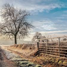 A stile and rail wood door is constructed from many vertical and horizontal pieces that are combined with a certain number of panels on the door. 20 Best Winter Walks In The Uk Pine Forests Lakes And Snow Dusted Hills Weekend The Times