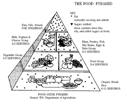 The Food Pyramid Part 3 Feeding Infants Young Children