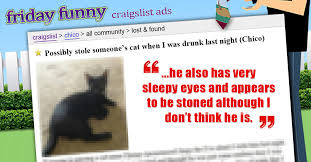 Funny Craigslist Ads Sorry I Got Drunk And Stole Your Cat Accidentally Craigslist Garage Sales Oklahoma City