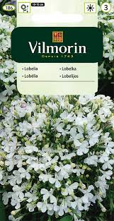 Image result for foto Lobelka