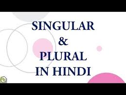 Singular Plural In Hindi Youtube