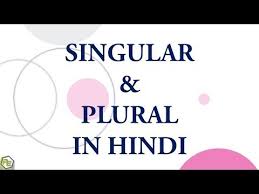 Singular Plural In Hindi Youtube