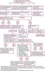 Testoheal gel (testogel) marques qui vous feront paraître extrêmement en forme et superbes. Hypogonadisme Masculin Troubles Genito Urinaires Edition Professionnelle Du Manuel Msd