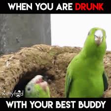 Birds With Human Arms Gif Https Encrypted Tbn0 Gstatic Com Images Q Tbn 3aand9gctqcpdd8hktiilozyt Knz 8gyvswlbourjpw Usqp Cau