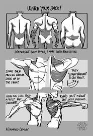 Musculoskeletal anatomy, kinesiology, and palpation for manual therapists. Character Design References Watch Your Back Drawing Tips By Normand Lemay A Reminder To Not Forget The Large Muscle Groups In The Back They Add Structure And Clearly Influence The