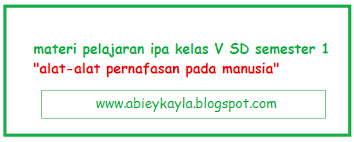 Maybe you would like to learn more about one of these? Materi Alat Pernafasan Pada Manusia Pelajaran Ipa Kelas 5 Sd Semester 1 Blognya Abiey Kayla