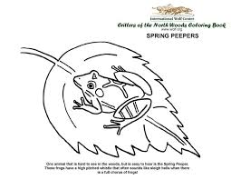 If you are looking for a huge variety of wolf coloring pages then you have landed at the right place. Coloring Book International Wolf Center